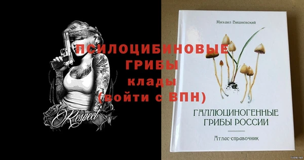 спиды Семёнов